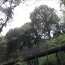 봉제산 등촌동 숲속놀이터 이미지