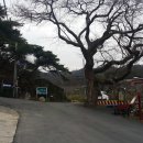 팔공산녹색길 숲길 2코스 이미지