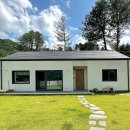 두드리네 이미지