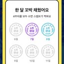 오비캠프