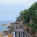 삼척시장애인보호작업장 | 강원도 삼척 명소 해안탐방로, 초곡용굴촛대바위길