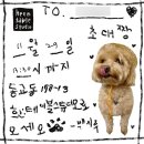 시루테이블 네이버블로그