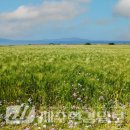 대한민국무공수훈자회제주특별자치도지부 이미지