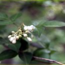 상훈사 | 어린이날 지리산 해경골