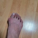 킹스턴제화
