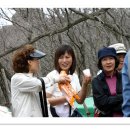 행복한친구들