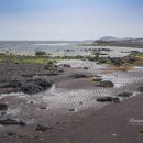 내도동 알작지왓 이미지