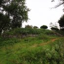 적성향교 이미지