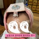 그린나래어린이집 | 북촌 한옥마을 “이다한옥” 돌사진 촬영 후기