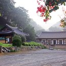 관음사 Daum카페