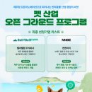 펫그라운드 - 도봉구 도봉로110길 39-16 | 펫그라운드
