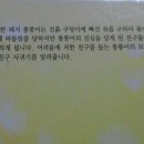 통통아놀자