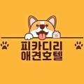 피카디리 애견호텔 이미지