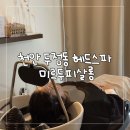 천안 두정동 헤드스파 두피관리로 힐링하고 온 미르두피살롱 후기