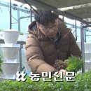 농산물대박마트 이미지