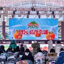 일원농장 | 겨울축제 아이와 가볼만한곳 충북 영동곶감축제 후기 빙어잡기체험 두쫀쿠