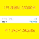 #평택가볼만한 곳/#늦은 후기 3 탄