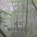 가산산성 | 대구 팔공산 가산산성 주차·화장실·등산코스 후기 (안개 낀 힐링 트레킹)