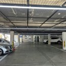 메디컬센터 | 해운대동물병원, 강아지 건강검진 금정다솜동물메디컬센터 후기