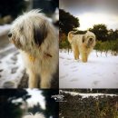 미로객잔 이미지