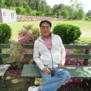 갈비총회 이미지