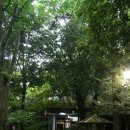 토토로마을 이미지