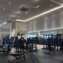 웨이빗 피트니스 24시 헬스 PT 주안점 이미지