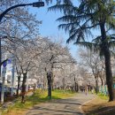 경대교 주변 이미지