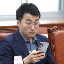 홍누나