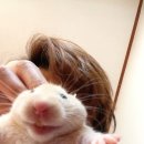 우리네만두