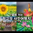 7월에 가는 최고의 사진여행지/능소화 명소/연꽃명소/이끼계곡/해바라기 명소/배롱꽃 명소/백석탄 이미지