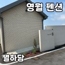 영월로 | 영월 감성펜션 별하담 내돈내산 후기