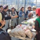 진행농장 이미지