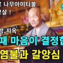 임종염불과 갈앙심(지성염불) 이미지