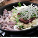 원조낙지 이미지