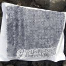 비로사진공대사보법탑비 이미지