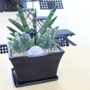 다섯손가락기타교습소