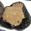 송로축산 네이버블로그