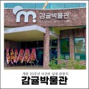 제주 서귀포 실내 관광지 개관 20주년 감귤박물관