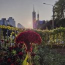 문학평론(22) 풍경을 진짜 디카詩(Dica-poem)로 바꾸는 세 가지 묘책 이미지