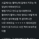 할머니가 개발한 고양이 캐리어 이미지