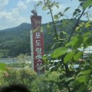 포도랑햇살
