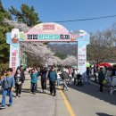 왕인