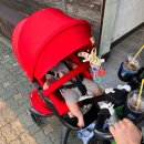 스토케 요요3 봉쁘앙 :: 6개월 아기 휴대용 유모차 후기