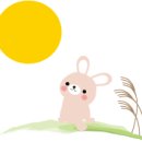 달토끼 Daum카페
