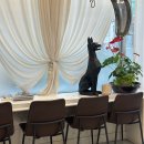 상남동121 이미지