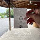 Bubble line | [방콕 근교 카페] 물 위에 떠 있는 카페 _ 버블 인 더 포레스트 (Bubble in the Forest)