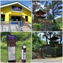 춘양면사무소 이미지