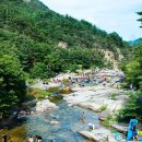 무릉이가 이미지