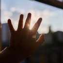 희망 접기 이미지